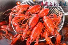 卤水龙虾香料配方及制作